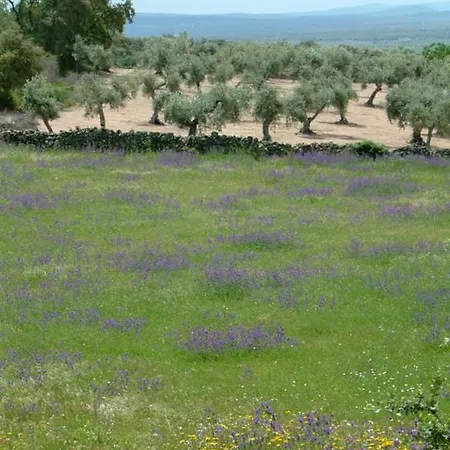 度假居 Casa Granero